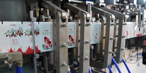 BHD-130S Horizontal Small DoyPack Packing Machine