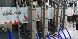 BHD-180S Horizontal Standard Stand-up-Beutelverpackungsmaschine