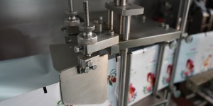 BHD-280DS Horizontal Dual Station Standard Doypack-Packmaschine
