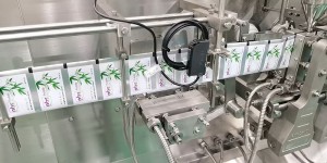 BHS-110/130 Horizontal Small Flat Sachet Packing Machine