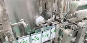 BHS-110/130 Horizontal Small Flat Sachet Packing Machine