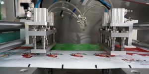 BHD-130S Horizontal Small DoyPack Packing Machine