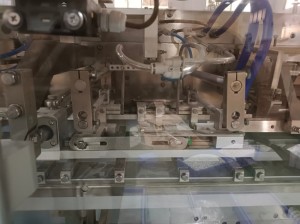 Horizontal Premade Pouch Capsule Packing Machine