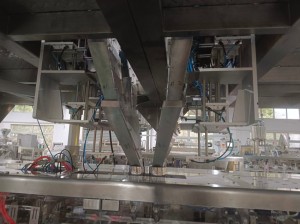 Horizontal Premade Pouch Capsule Packing Machine