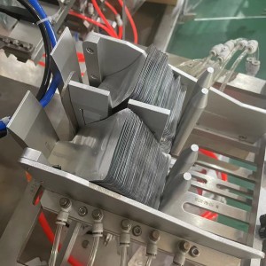BHP Duplex Horizontal Premade Bag Packing Machine