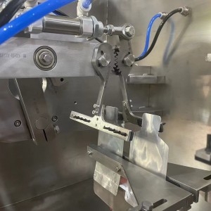 BHP Duplex Horizontal Premade Bag Packing Machine