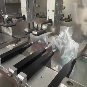 BHP Duplex Horizontal Premade Bag Packing Machine