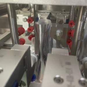BHP Duplex Horizontal Premade Bag Packing Machine