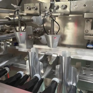 BHP Duplex Horizontal Premade Bag Packing Machine