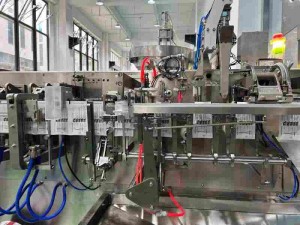 BHS-130 Reagents Sachet Packing Machine