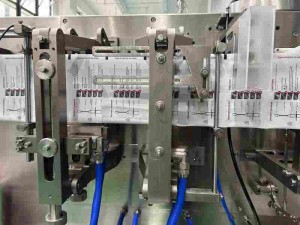 BHS-130 Reagents Sachet Packing Machine