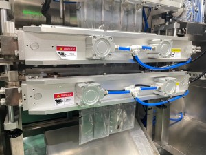 BVSF Multilane Sachet Packing Machine