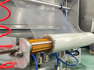 Multilane ketchup pack machine (15)(1)(1)