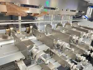 BVSF Multilane Sachet Packing Machine