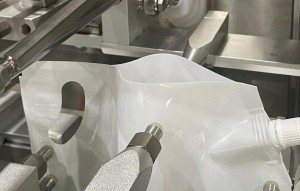 Horizontal Spout Pouch Form-Fill-Seal Packing Machine