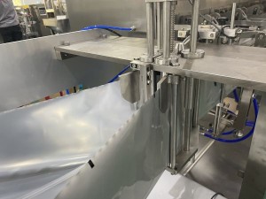 Horizontal Zipper Bag Packing Machine